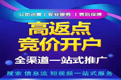 百度广告投放技巧：案例解析助力品牌增长